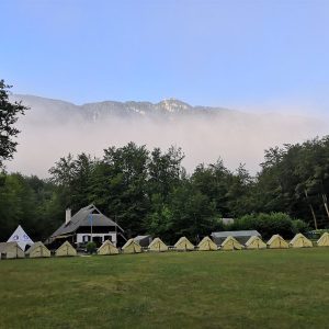 Mass Image Compressor Compressed this image. https://sourceforge.net/projects/icompress/ with Quality:80