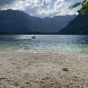 Mass Image Compressor Compressed this image. https://sourceforge.net/projects/icompress/ with Quality:80