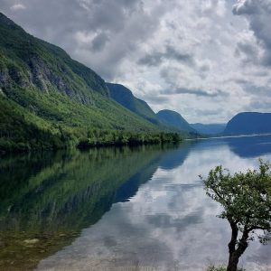 Mass Image Compressor Compressed this image. https://sourceforge.net/projects/icompress/ with Quality:80