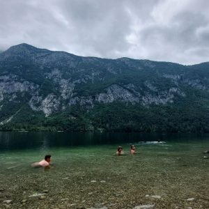Mass Image Compressor Compressed this image. https://sourceforge.net/projects/icompress/ with Quality:80