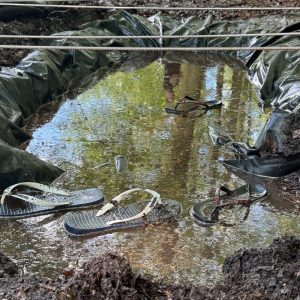 Mass Image Compressor Compressed this image. https://sourceforge.net/projects/icompress/ with Quality:80